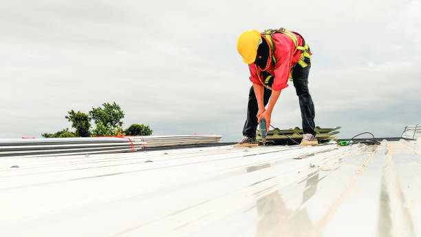 Best Roof Moss and Algae Removal  in West Columbia, SC